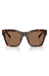 Dolce & Gabbana Dolce&gabbana 53mm Square Sunglasses In Brown