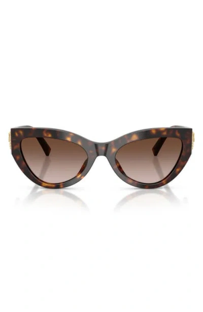 DOLCE & GABBANA DOLCE&GABBANA 55MM CAT EYE SUNGLASSES