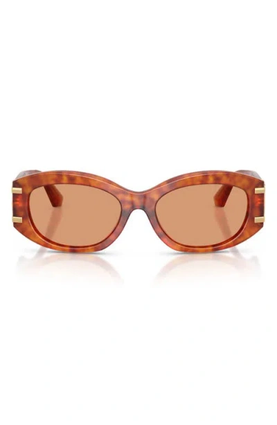 Dolce & Gabbana Womens Brown Dg4501 Butterfly-frame Acetate Sunglasses In Camel Havana
