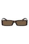 Dolce & Gabbana 55mm Polarized Rectangular Sunglasses In Havana