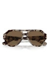 Dolce & Gabbana Dolce&gabbana 56mm Pilot Sunglasses In Dark Brown