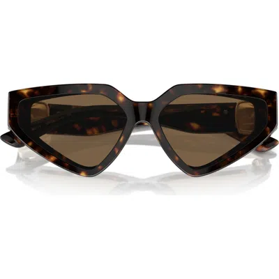 Dolce & Gabbana Dolce&gabbana 59mm Butterfly Sunglasses In Havana