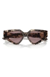 Dolce & Gabbana Dolce&gabbana 59mm Butterfly Sunglasses In Havanah Blue Pearl/purple