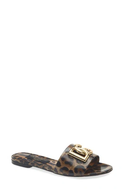 Dolce & Gabbana Dolce&gabbana Bianca Leopard Slide Sandal In Ha93m Leo