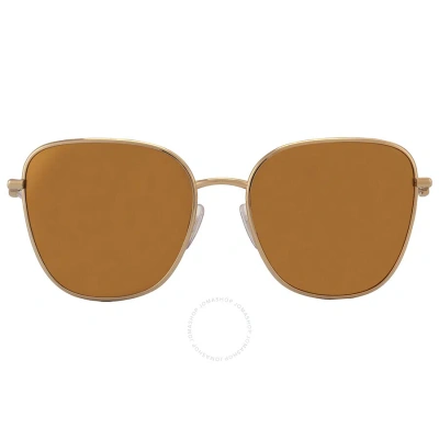 Dolce & Gabbana Dolce And Gabbana Brown Mirror Gold Butterfly Ladies Sunglasses Dg2293 02/7p 56 In Brown / Gold