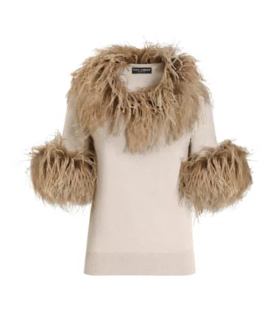 Dolce & Gabbana Dolce&gabbana Cashmere Feather-trim Sweater