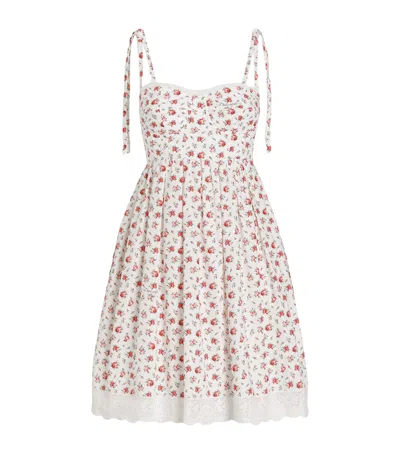 Dolce & Gabbana Roses Print Short Dress In Multi