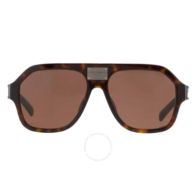 Dolce & Gabbana Dolce And Gabbana Dark Brown Pilot Men's Sunglasses Dg4433f 502/73 58 In Brown / Dark