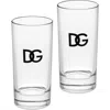 Dolce & Gabbana Dolce&gabbana Dg Logo Set Of 2 Drinking Glasses In Clear