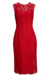 Dolce & Gabbana Calf-length Sheath Dress In Floral Cordonetto Lace In R0026 Bordeaux Chiaro