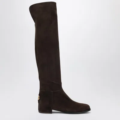 Dolce & Gabbana High Suede Boot In Ebony Brown