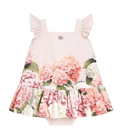 Dolce & Gabbana Dolce&gabbana Kids Cotton Hydrangea Dress And Bloomers Set In Pink