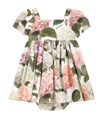 Dolce & Gabbana Dolce&gabbana Kids Poplin Hydrangea Dress In Multi