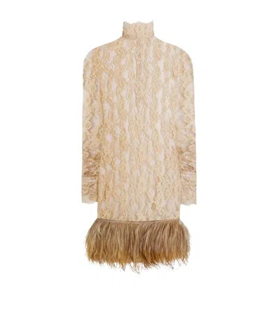 Dolce & Gabbana Dolce&gabbana Lace Feather-trim Mini Dress