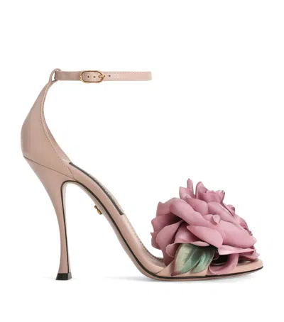 Dolce & Gabbana Dolce&gabbana Leather Keira Sandals 105 In Multi