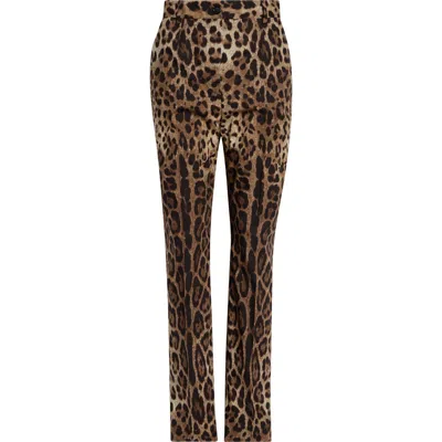 Dolce & Gabbana Dolce&gabbana Leopard Print Cotton Poplin Pants In Multi