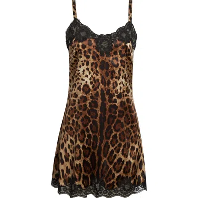 Dolce & Gabbana Dolce&gabbana Leopard Print Stretch Satin & Lace Slipdress In Animal Print