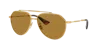 Dolce & Gabbana Dolce&gabbana Man Sunglasses Dg2302 In Brown