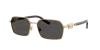 Dolce & Gabbana Dolce&gabbana Man Sunglass Dg2316 In Gold