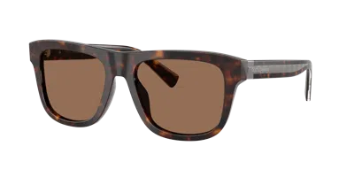 Dolce & Gabbana Dolce&gabbana Man Sunglass Dg4545 In Brown