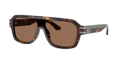 Dolce & Gabbana Dolce&gabbana Man Sunglasses Dg4507 In Dark Brown