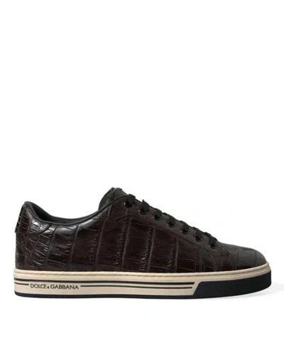 Pre-owned Dolce & Gabbana Dolce&gabbana Men Brown Sneakers 100% Leather Crocodile Skin Flat Trainer Shoes