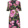 Dolce & Gabbana Black Floral Cotton Dress With Peonies In Hn5kr Peonie Fuxia F.nero