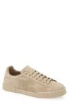 Dolce & Gabbana Dolce&gabbana Perforated Logo Low Top Sneaker In 80703-sabbia