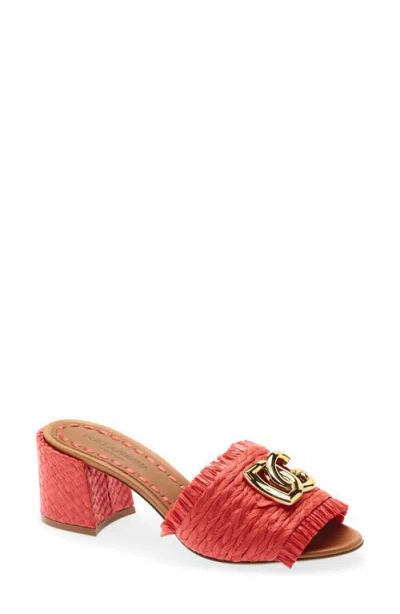 Dolce & Gabbana Dolce&gabbana Raffia Fringe Slide Sandal In Red