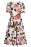 Dolce & Gabbana Dolce&gabbana Rose Print Cotton Fit & Flare Dress In Rose Rosa Floral.bianco