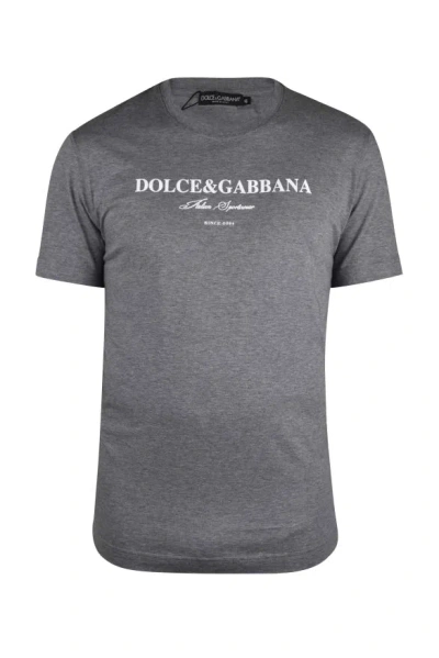 Dolce & Gabbana Dolce&gabbana T Shirt In Gray