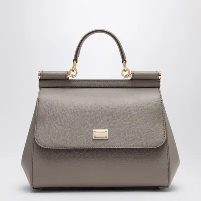 Dolce & Gabbana Taupe Sicily Medium Handbag In Brown