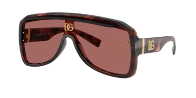 Dolce & Gabbana Dolce&gabbana Unisex Sunglasses Dg6205 In Purple