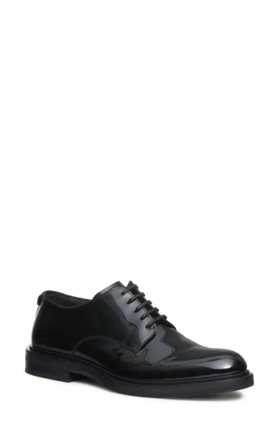 Dolce & Gabbana Raffaello Derby Lace-up Shoes In Black