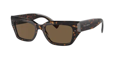 Dolce & Gabbana Dolce&gabbana Woman Sunglass Dg4462 In Brown