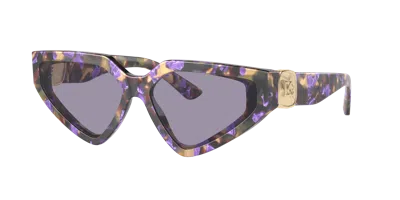 Dolce & Gabbana Dg Crossed Logo Acetate & Plastic Cat-eye Sunglasses In Multi