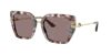 Dolce & Gabbana Square-frame Sunglasses In Brown