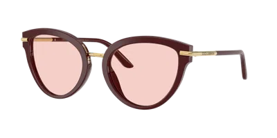 Dolce & Gabbana Dg4492 Butterfly Acetate Sunglasses In Bordeaux