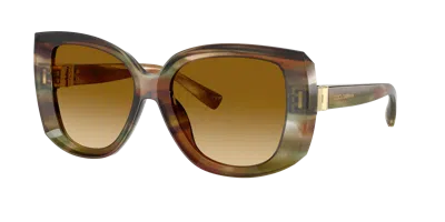 Dolce & Gabbana Dolce&gabbana Woman Sunglass Dg4495 In Brown