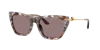 Dolce & Gabbana Eyewear Sunglasses In Brown