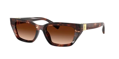 Dolce & Gabbana Dolce&gabbana Woman Sunglass Dg4532 In Brown