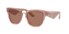 Dolce & Gabbana Dg4437 Butterfly-frame Acetate Sunglasses In Dark Brown