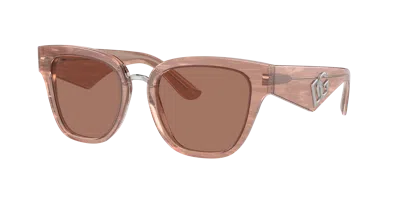 Dolce & Gabbana Dg4437 Butterfly-frame Acetate Sunglasses In Dark Brown