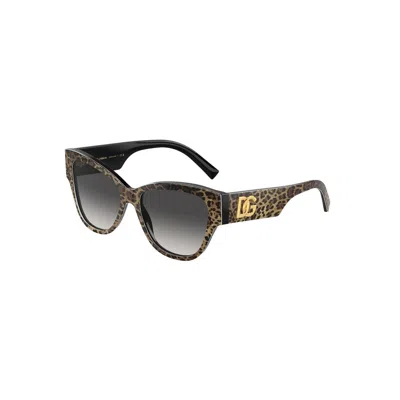 Dolce & Gabbana Dg4449 31638g In Animal Print