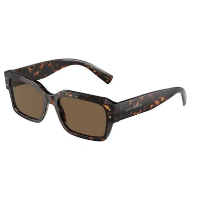 Dolce & Gabbana Dg4460 502/73 In Brown
