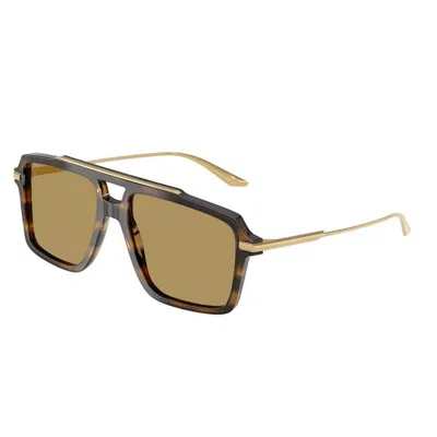 Dolce & Gabbana Dg4477 344673 In Brown