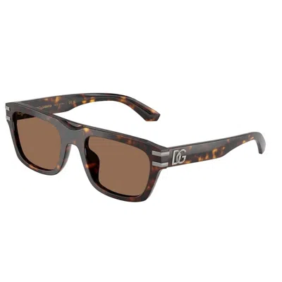 Dolce & Gabbana Dg4496 502/73 In Brown