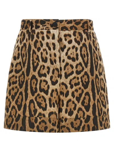 Dolce & Gabbana Dolce High Waist Shorts In Animal Print