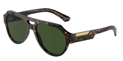 Pre-owned Dolce & Gabbana Dolce N Gabbana Dg4466f 502 71 Havana Dark Green 56 Mm Men's Sunglasses