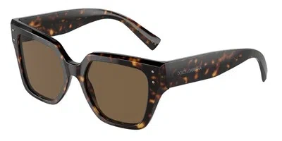 Pre-owned Dolce & Gabbana Dolce N Gabbana Dg4471 502 73 Havana Dark Brown 52 Mm Women's Sunglasses